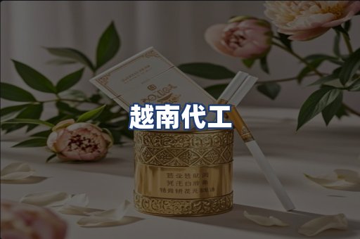 越南代工